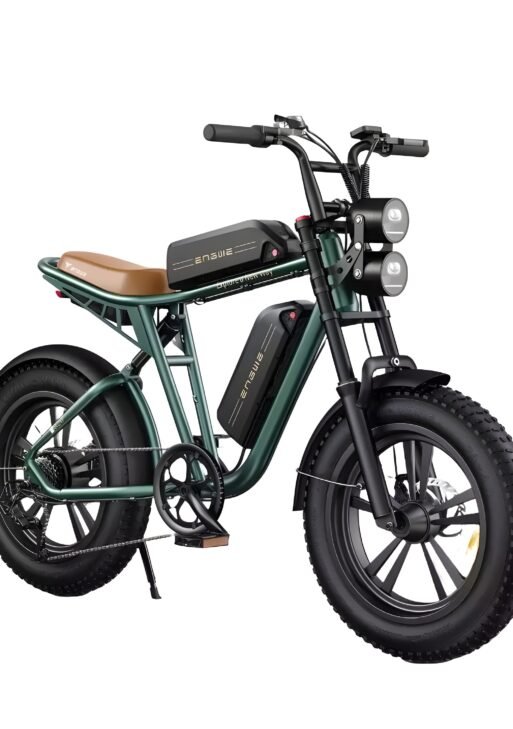 Vélo Électrique ENGWE M20